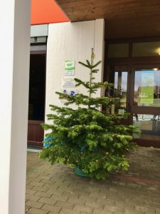 Weihnachtsbaum 2020 draußen